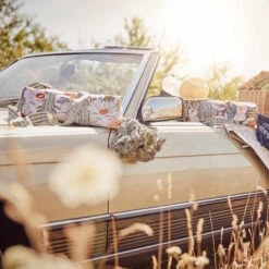 Picknickdecke L 175 X B 154cm BETWEEN FLOWERS In Creme 25 Picknickdecke L 175 X B 154cm BETWEEN FLOWERS In Creme -Butlers butlers picknickdecke l 175 x b 154cm between flowers in creme 11